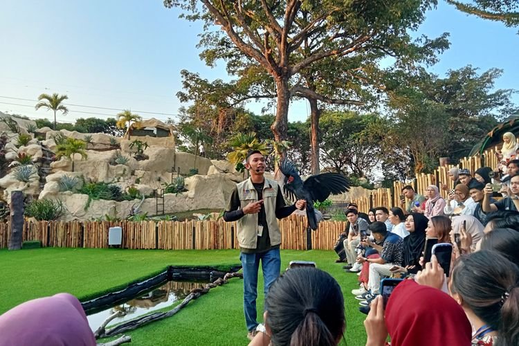 Serunya Menonton Atraksi Burung di Taman Burung TMII