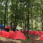 5 Tips Wisata ke Coban Jahe Jabung Kabupaten Malang